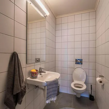 Large In-ski Out For Groups Appartement *